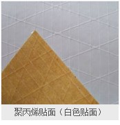 聚(jù)丙烯(xī)白色貼面